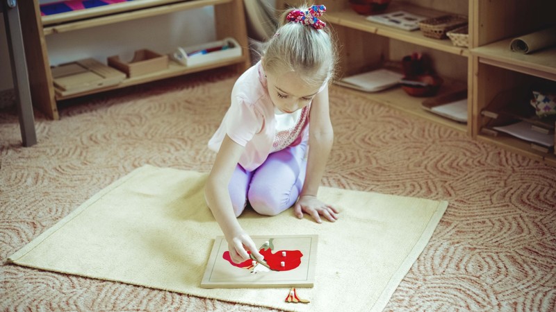 Montessori pomůcky z oblasti biologie a zoologie